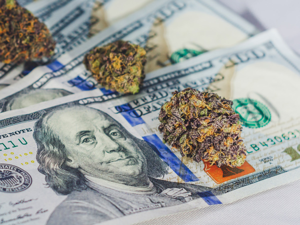 Protect your Portfolio by Investing in CanIDeal - CanIDeal