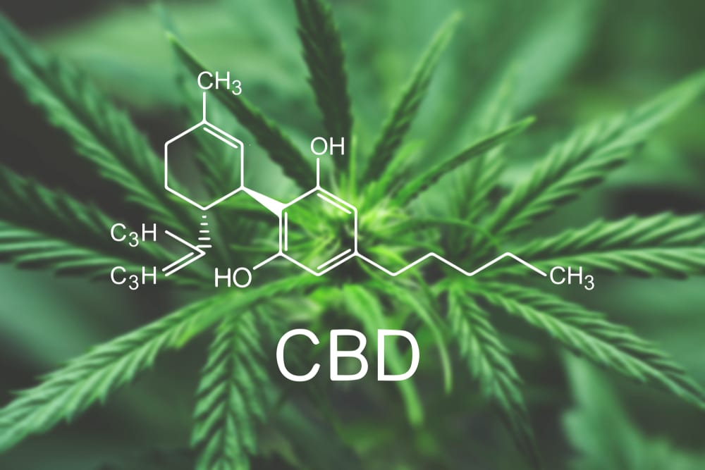 6 Surprising Benefits of CBD - CanIDeal