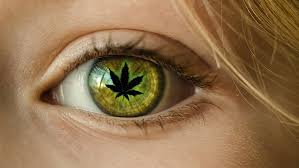 What Does Marijuana Do for Glaucoma? - CanIDeal