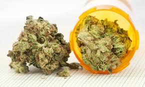 What’s the Difference between Buying Cannabis in a Medical versus Recreational State? - CanIDeal