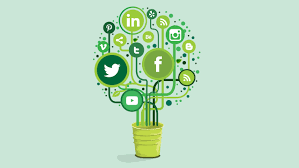 5 Savvy Social Media Tips for Cannabis Companies - CanIDeal